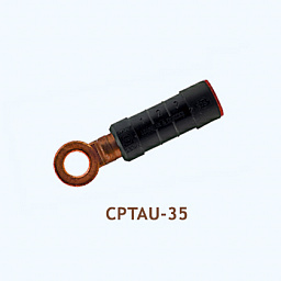 CPTAU-35, CPTA R 35 