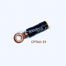 CPTAU-25, CPTA R 25 